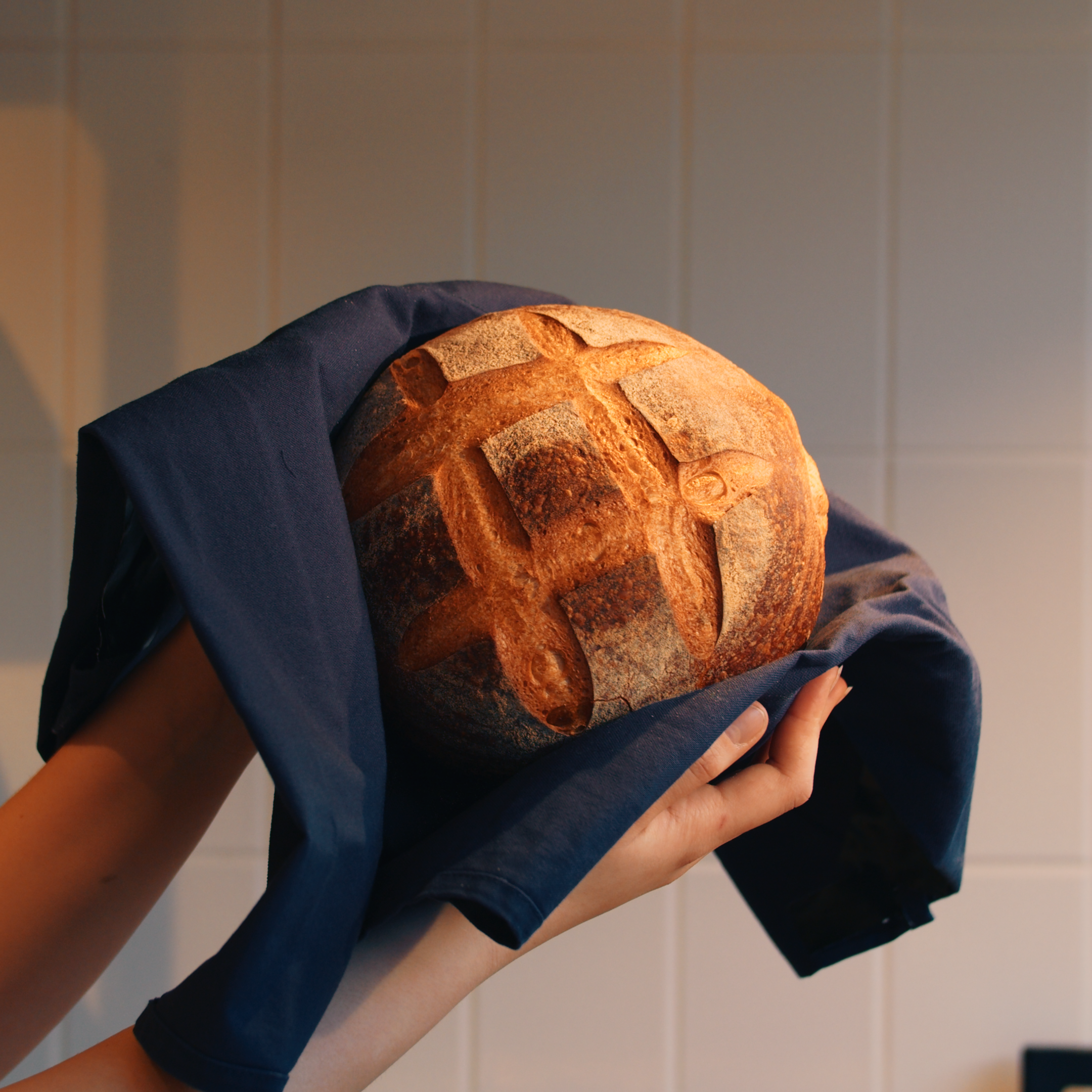 Stony Round Sourdough