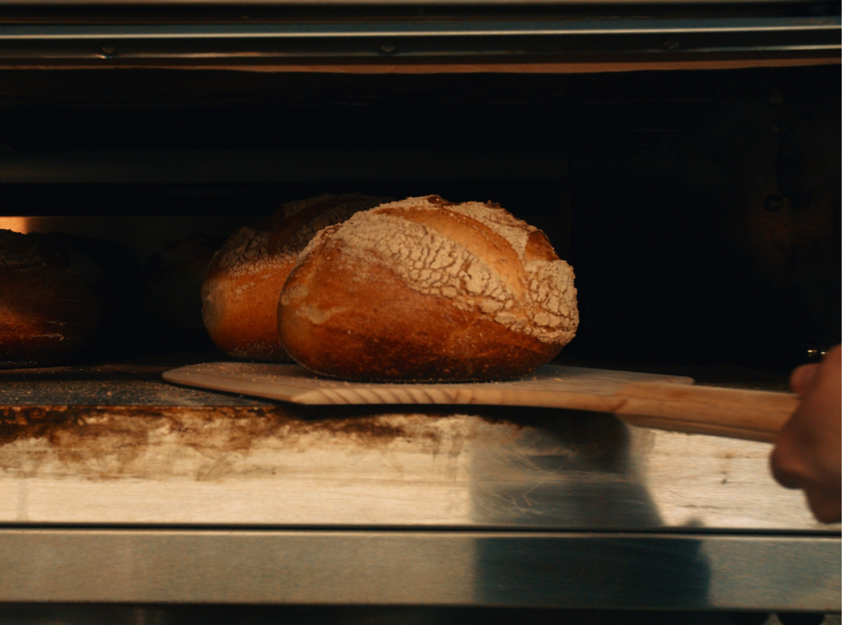 Sourdough Bread being taken out of an oven with a wooden peel. Small independent Artisan Bakery. Sourdough Bread Freshly Baked in Milton Keynes MK11 1AF. Stony Stratford. 